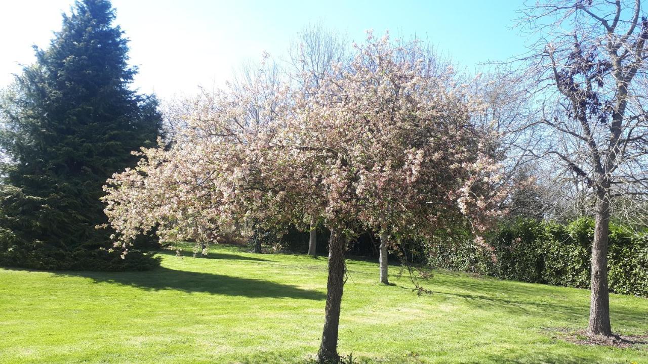 Gite De Bon Air Sens-de-Bretagne エクステリア 写真
